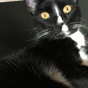 Meet your Posher, Tad